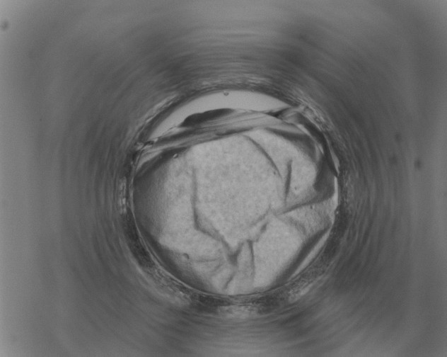 X0000068740356200605262056