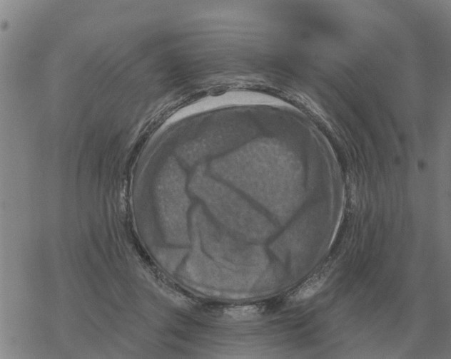 X0000068740357200605262056