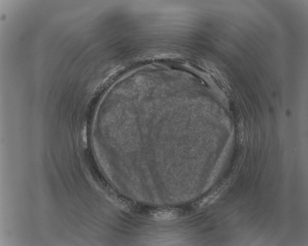 X0000068740358200605262056