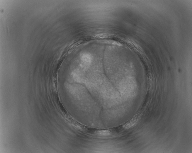 X0000068740361200605262056