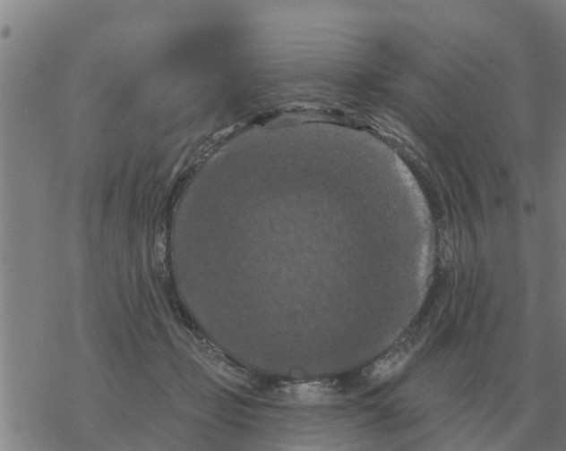 X0000068740365200605262056