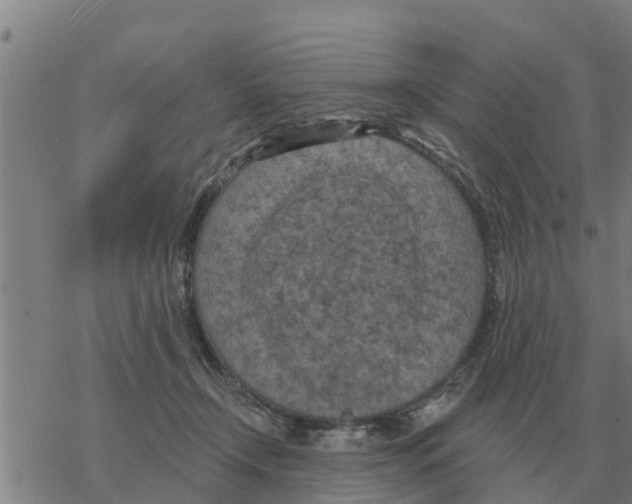 X0000068740366200605262056