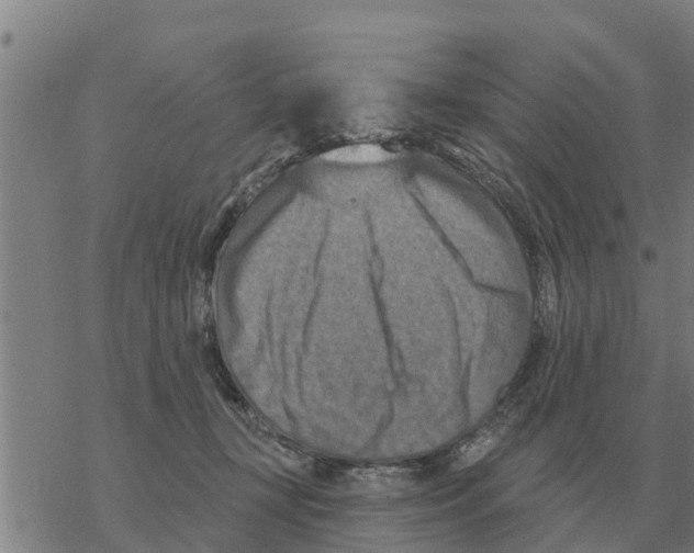 X0000068740367200605262056