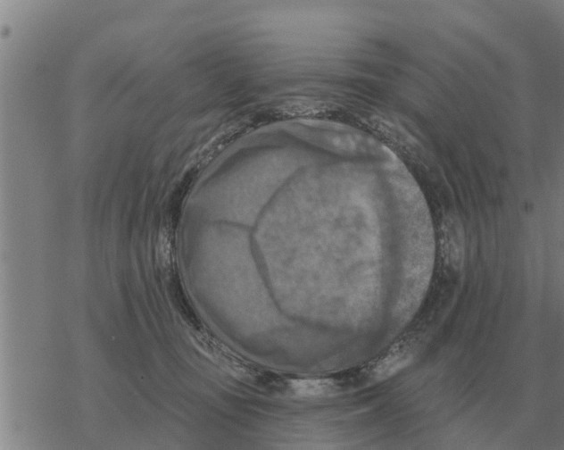 X0000068740371200605262057