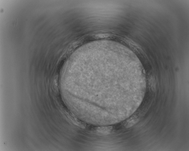 X0000068740373200605262057