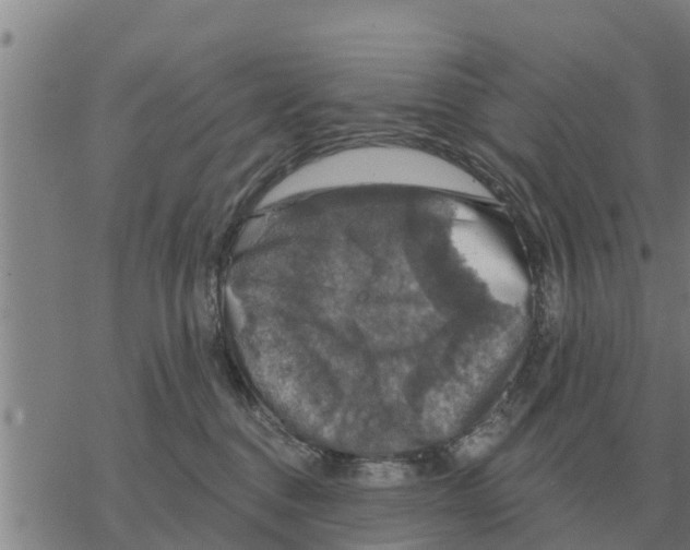 X0000068740376200605262057