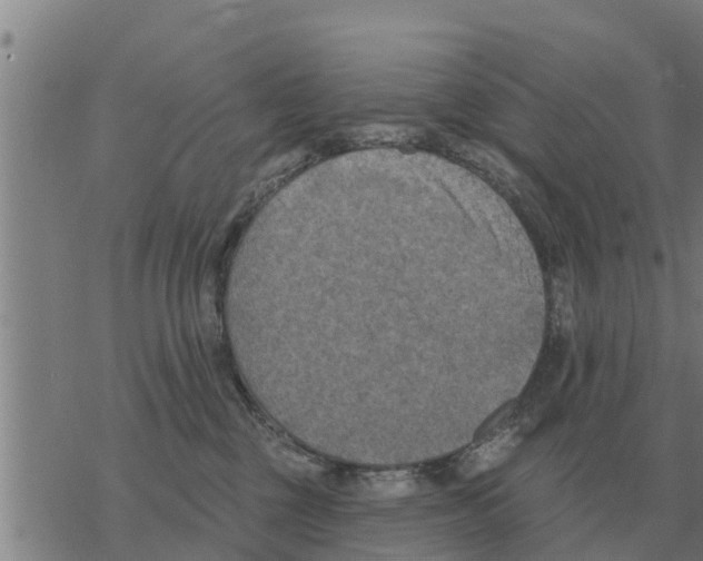 X0000068740377200605262057