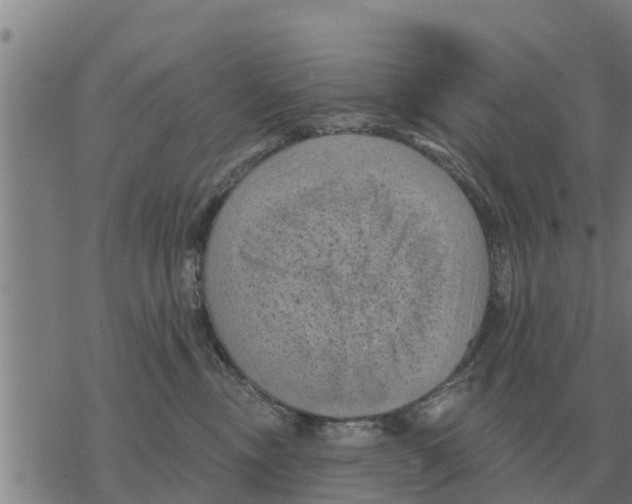 X0000068740378200605262057