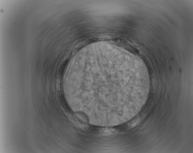 X0000068740379200605262057