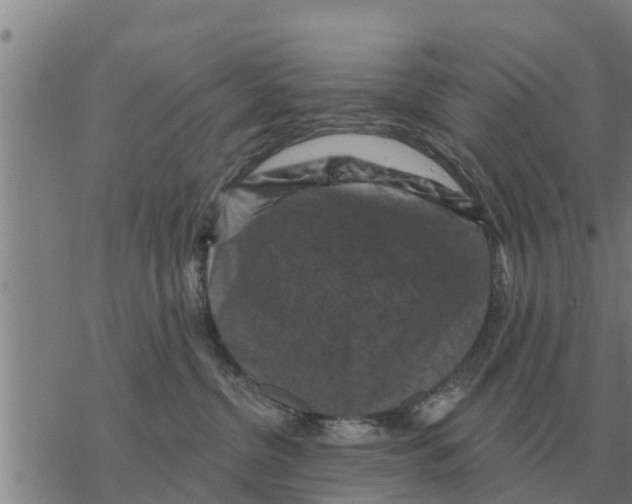 X0000068740380200605262057