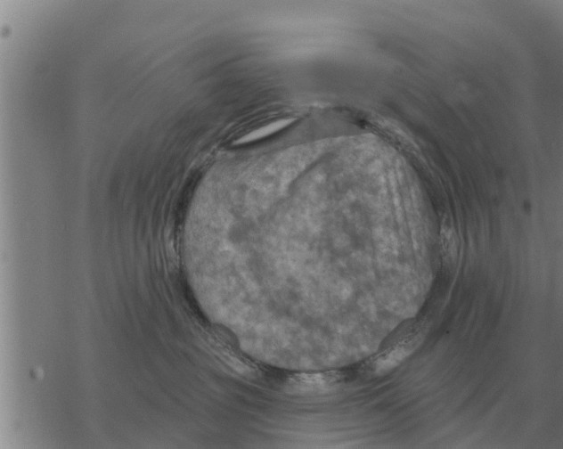 X0000068740381200605262057