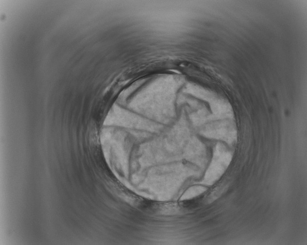 X0000068740384200605262057