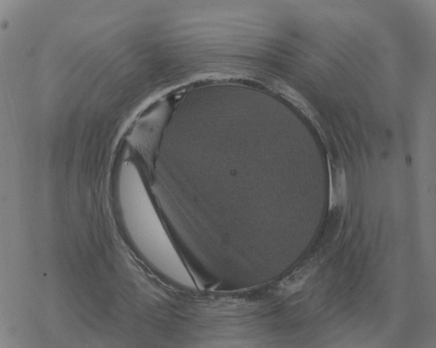 X0000068740387200605262056