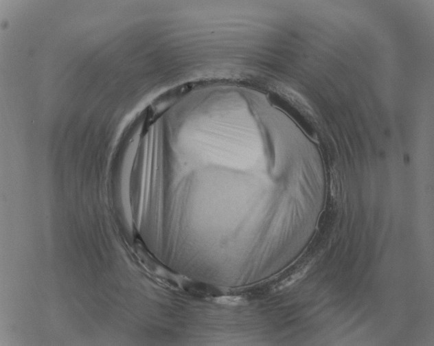 X0000068740388200605262056