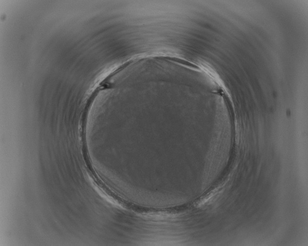 X0000068740389200605262056