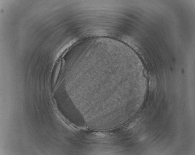 X0000068740390200605262056