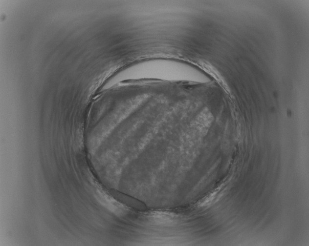 X0000068740393200605262056