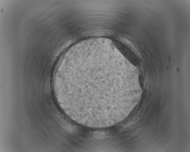 X0000068740394200605262056