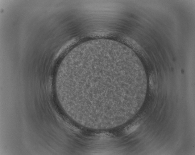 X0000068740396200605262056