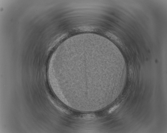 X0000068740398200605262056