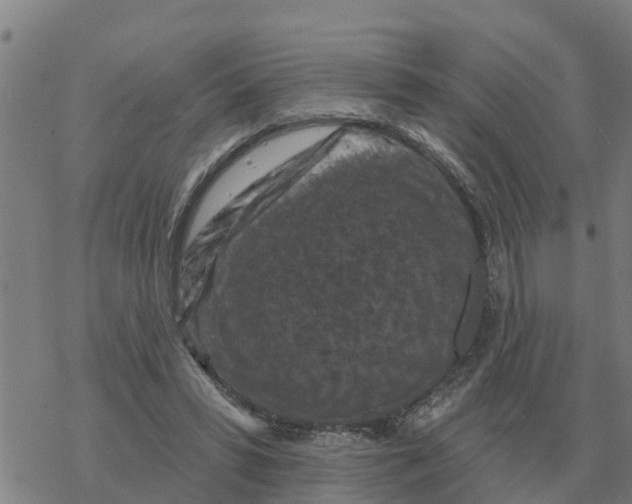 X0000068740399200605262056