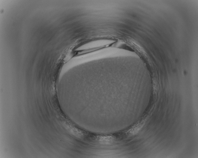 X0000068740401200605262056