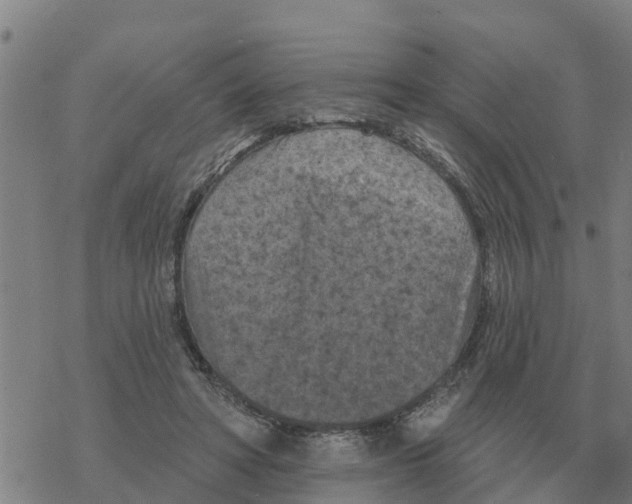 X0000068740402200605262056