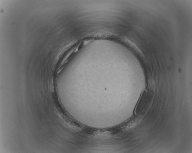 X0000068740403200605262056