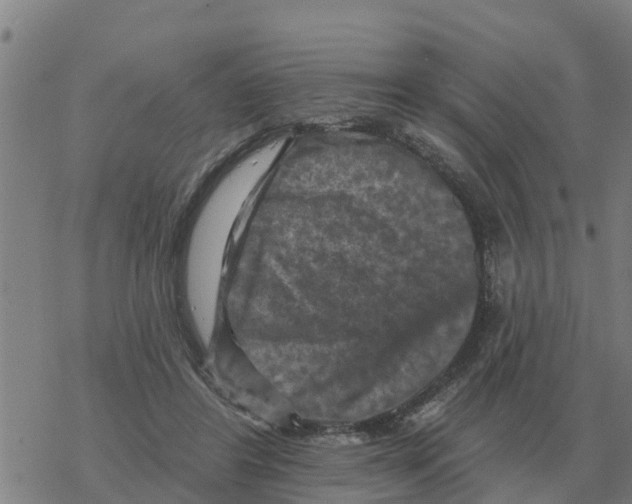 X0000068740404200605262056