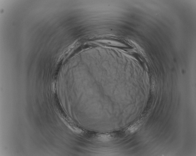 X0000068740405200605262056