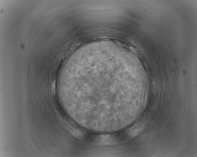 X0000068740406200605262056