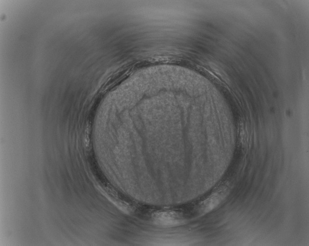 X0000068740408200605262056