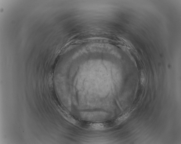 X0000068740409200605262056