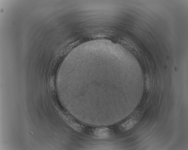 X0000068740410200605262056