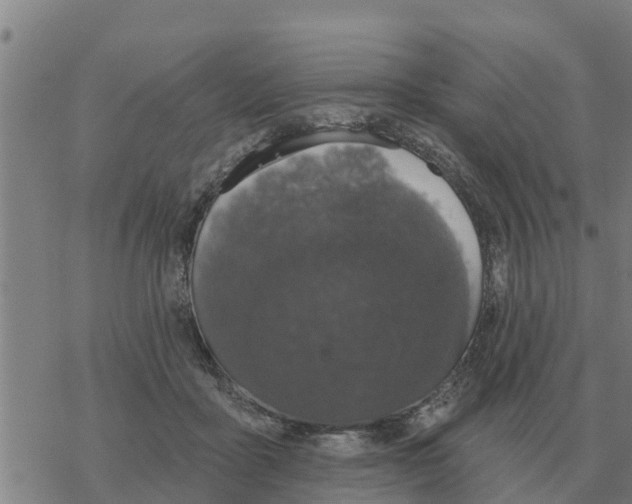 X0000068740411200605262056