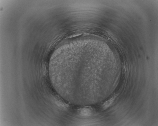 X0000068740412200605262056