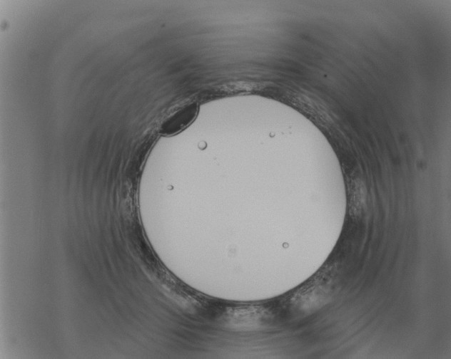 X0000068740414200605262055