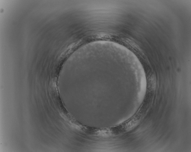 X0000068740415200605262055