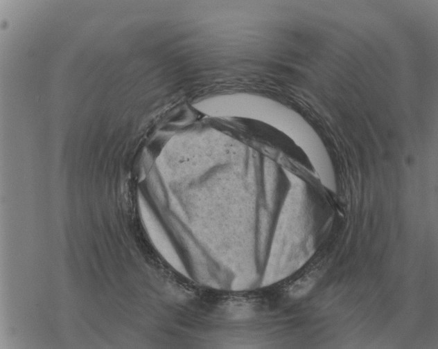 X0000068740416200605262055