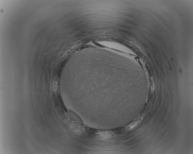 X0000068740417200605262055