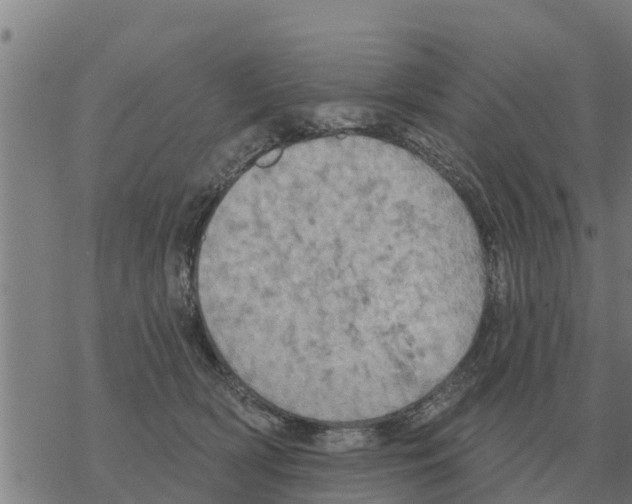 X0000068740418200605262055