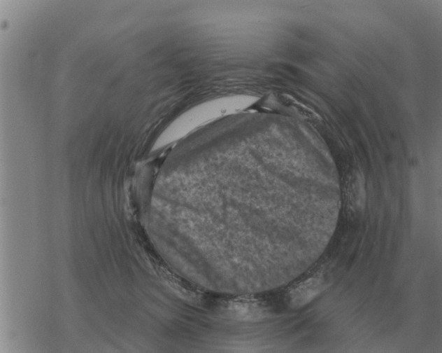 X0000068740420200605262055