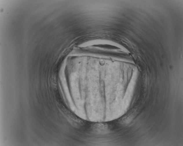 X0000068740421200605262055