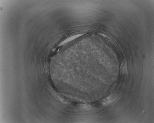 X0000068740424200605262055