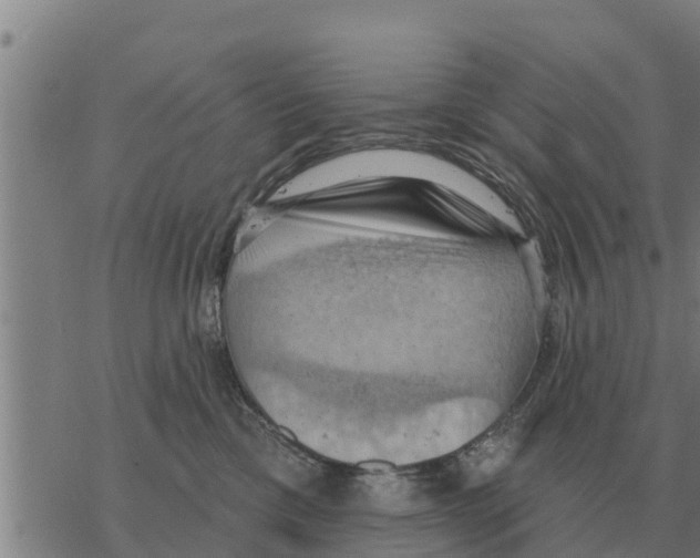 X0000068740425200605262055