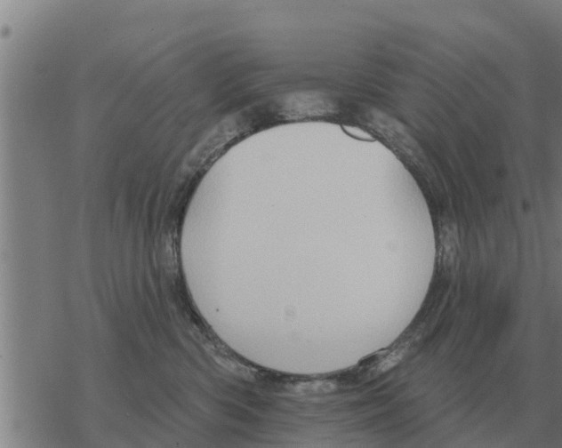 X0000068740426200605262055