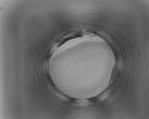 X0000068740429200605262055