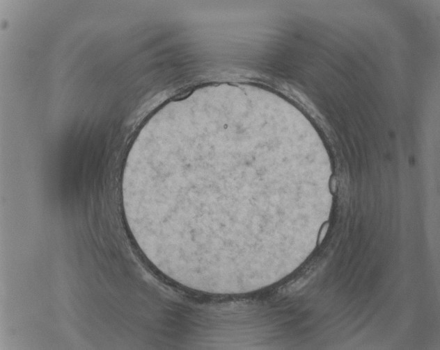 X0000068740433200605262054