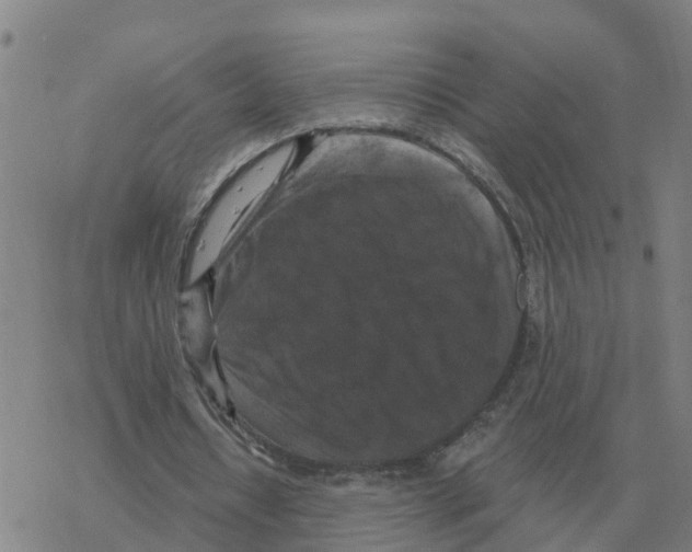 X0000068740434200605262054