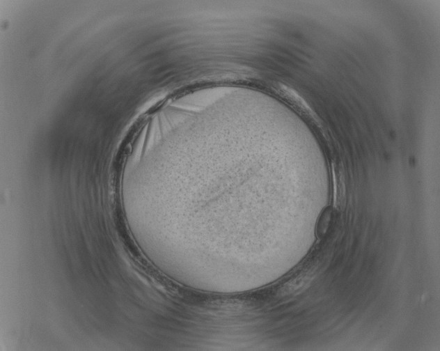 X0000068740435200605262054